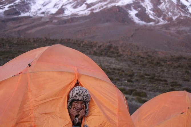 5 Days cheapest Kilimanjaro Marangu Route - Day 5: Back through the forest to Arusha