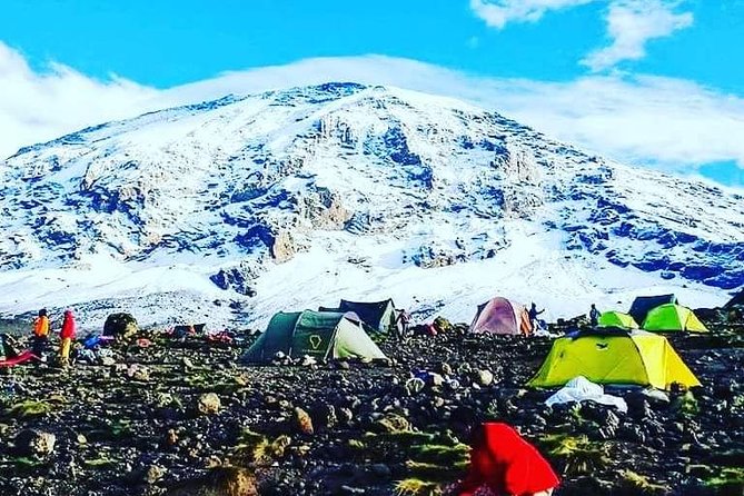 5 Days cheapest Kilimanjaro Marangu Route - Day 2: Open moorland and the long walk to Horombo