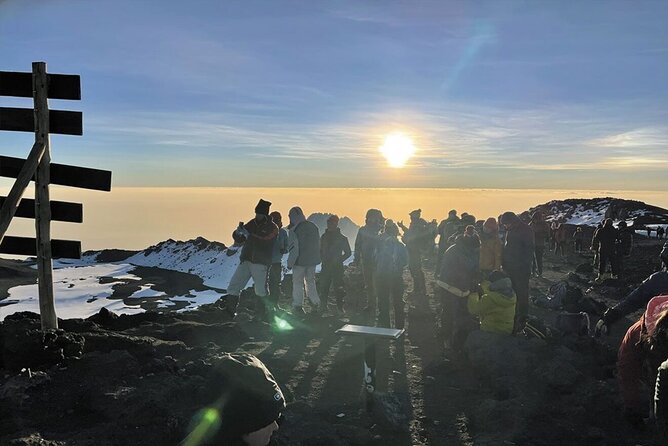 5 Days Classic Kilimanjaro Climb via Marangu route - Day 5: Descending through the rainforest