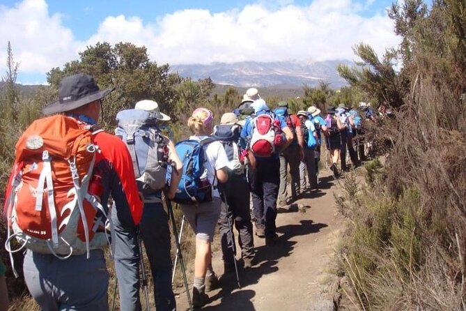 5 Days Classic Kilimanjaro Climb via Marangu route - Day 1: Marangu Gate to Mandara Hut