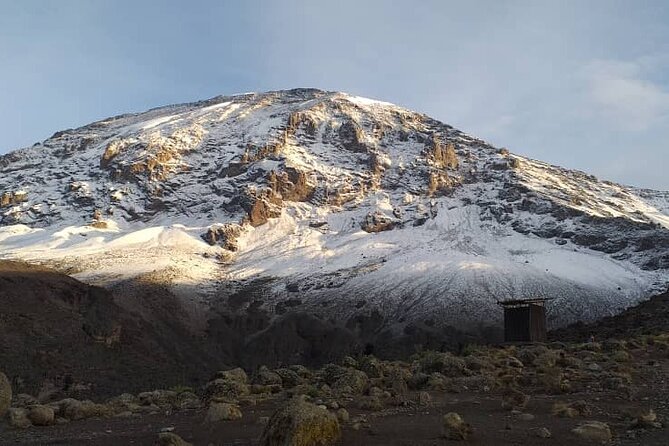 5 Days Climbing Mount Kilimanjaro Marangu Route - Day 5: Horombo Hut to Marangu Gate
