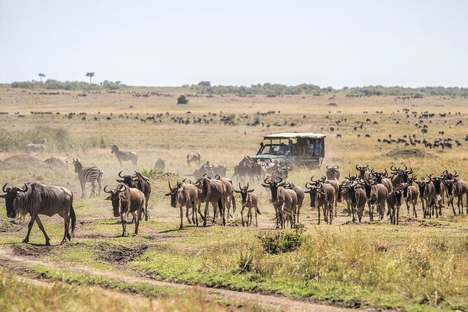 5 Days Exclusive Camping Adventure in Northern Tanzania - A five-day route built around variety