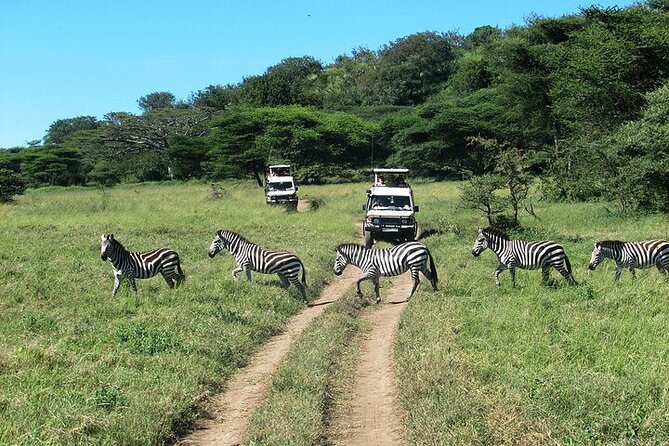 5 Days Exclusive Camping Adventure in Northern Tanzania - Day 4: Down into Ngorongoro Crater