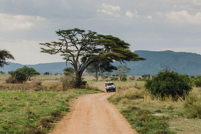 5 Days Fantastic Tanzania Lodge Safaris - Four parks in five days: what this safari is really selling