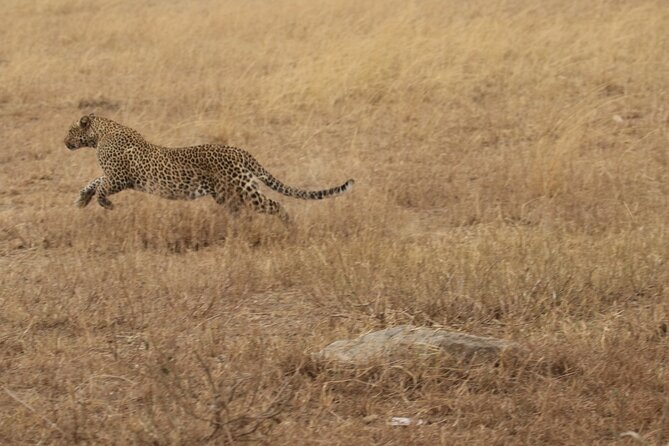 5 Days Group Camping Safari - Why the guide matters