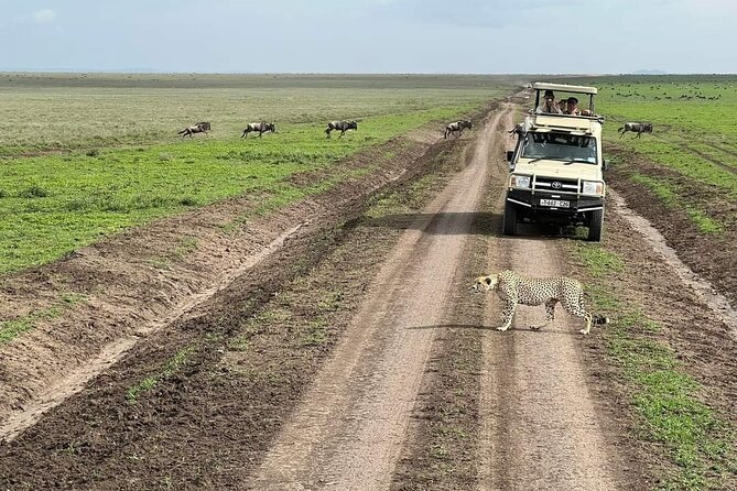 5-Days Lake Manyara, Serengeti, Ngorongoro Crater and Tarangire - Road circle or Serengeti flight?