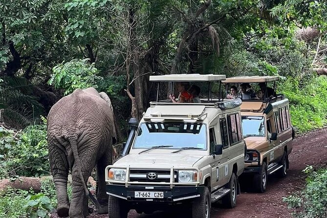 5-Days Lake Manyara, Serengeti, Ngorongoro Crater and Tarangire - Lake Manyara brings forest and lake life