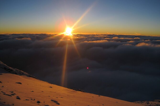 5 Days Marangu Route Kilimanjaro hiking - Day 5: Forest descent and the return to Moshi