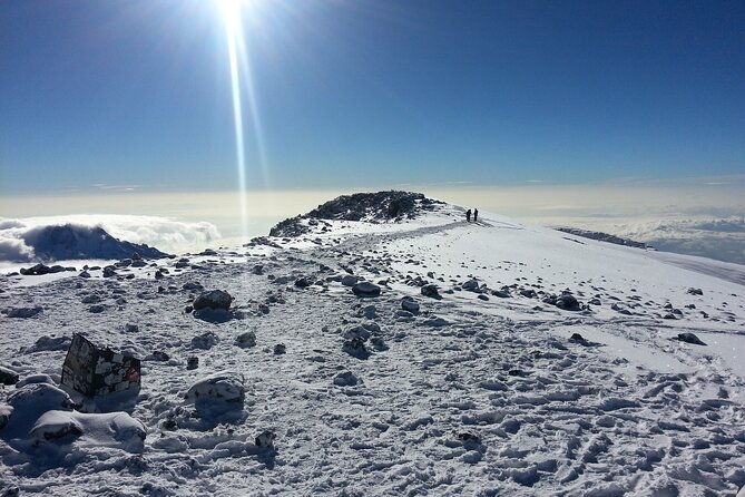 5 Days Marangu Route Kilimanjaro hiking - Meals, huts, and the working crew
