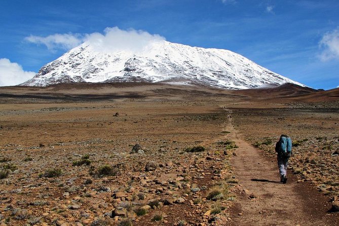 5 Days Marangu Route Kilimanjaro Trekking - Key points before you commit
