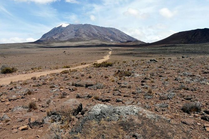 5 Days Marangu Route Kilimanjaro Trekking - Day one: rainforest, primates, and Maundi Crater