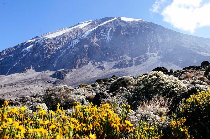 5 Days Marangu Route - Mount Kilimanjaro Trek - Day 3: Mandara Hut to Horombo Hut at 3,700 meters