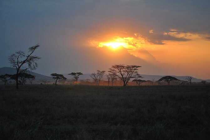 5 Days Northern Tanzania Safari- Lodging - What the private vehicle changes