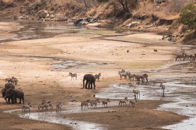 5-Days Private Midrange Safari: Serengeti, Ngorongoro & Manyara - Day 3: Serengeti sunrise and the move toward Ngorongoro