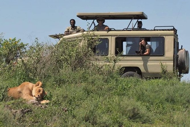 5-Days Private Midrange Safari: Serengeti, Ngorongoro & Manyara - Day 5: Lake Manyara’s birds and tree-climbing lions