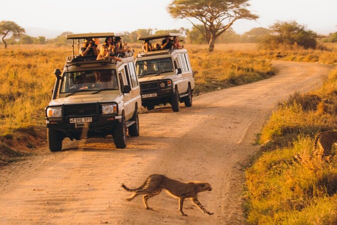 5-Days Private Midrange Safari: Serengeti, Ngorongoro & Manyara - Lodging, meals, and what the price covers