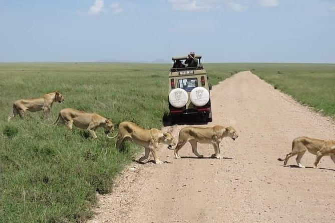 5-Days Private Midrange Safari: Serengeti, Ngorongoro & Manyara - Guides, private touring, and the pace of the drive