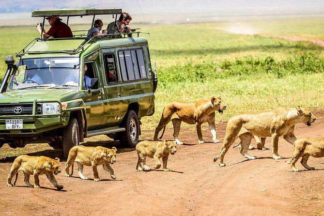5 Days Private Safari- Tarangire, Serengeti, Ngorongoro & Manyara - Four parks, four very different safari moods