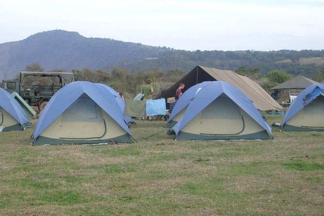5 Days Private Safari- Tarangire, Serengeti, Ngorongoro & Manyara - The guide and cook shape the whole trip
