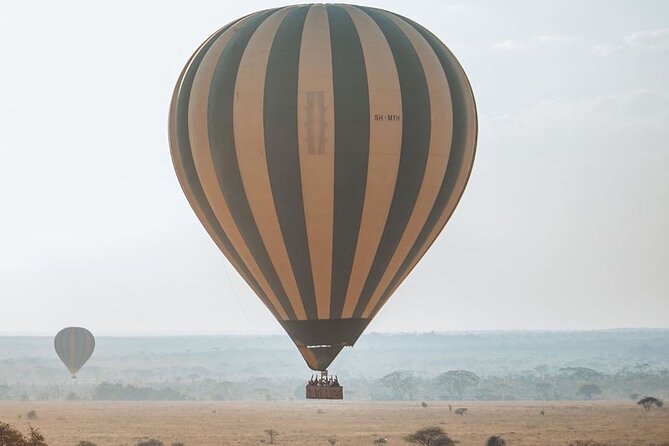 5-Days Private Safari Tour in Trangire, Serengeti, and Ngorongoro Crater - Day 4: Ngorongoro Crater and the final wildlife push