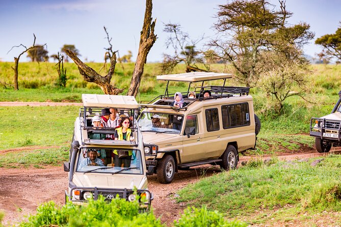 5 Days Private Safari Tour & Maasai village Visit Tanzania - Key things to know before booking