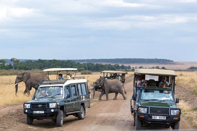 5 Days Private Safari Tour & Maasai village Visit Tanzania - Four parks, one compact northern Tanzania route