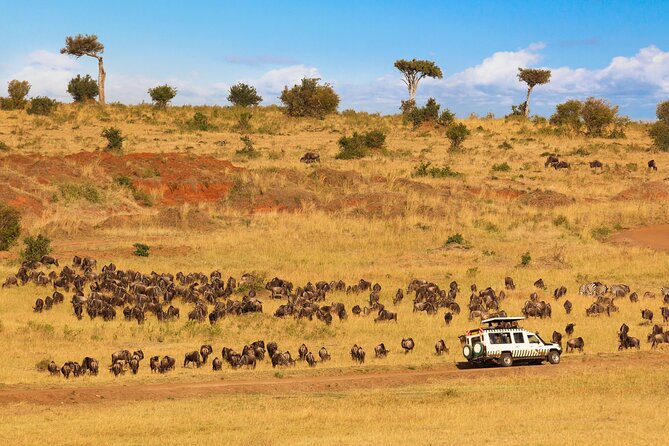 5 Days Private Safari Tour & Maasai village Visit Tanzania - Day 3: Entering the Serengeti through the highlands