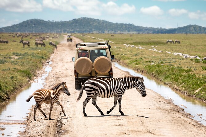 5 Days Private Safari Tour & Maasai village Visit Tanzania - Day 5: Sunrise and the concentrated wildlife of Ngorongoro Crater