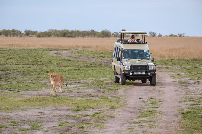 5 Days Private Safari Tour & Maasai village Visit Tanzania - Day 2: Tarangire and its large elephant herds