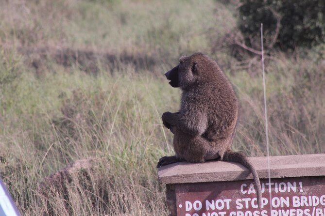 5-Days Private Tanzania Safari Tour - Day 5: Lake Manyara on foot and from the vehicle