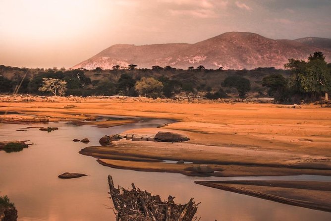 5 Days Ruaha National Park Safari - Is the $1,555.31 price good value?