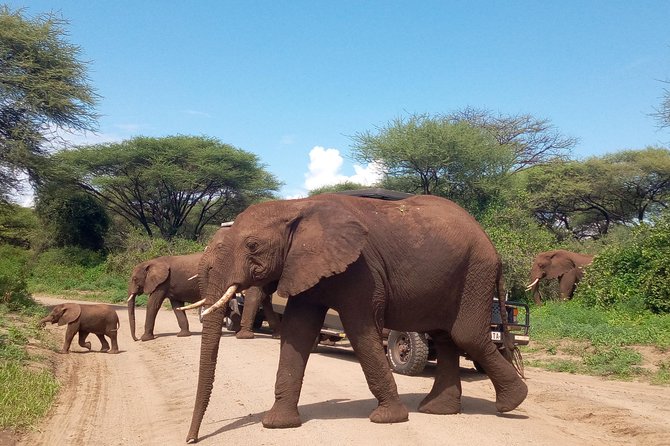 5 Days Safari from Dar es Salaam to Tarangire NP, Manyara NP & Ngorongoro Crater - A long road from Dar es Salaam to northern Tanzania