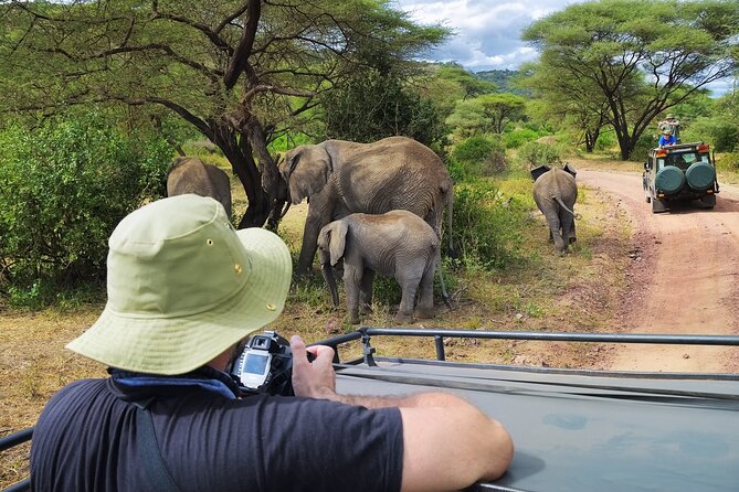 5 days safari, hiking & culture (Serengeti & kilimanjaro) - Day four: Searching the Ngorongoro Crater for black rhinos