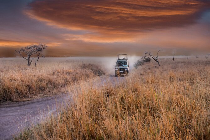 5 days safari, hiking & culture (Serengeti & kilimanjaro) - The guides can shape the whole experience
