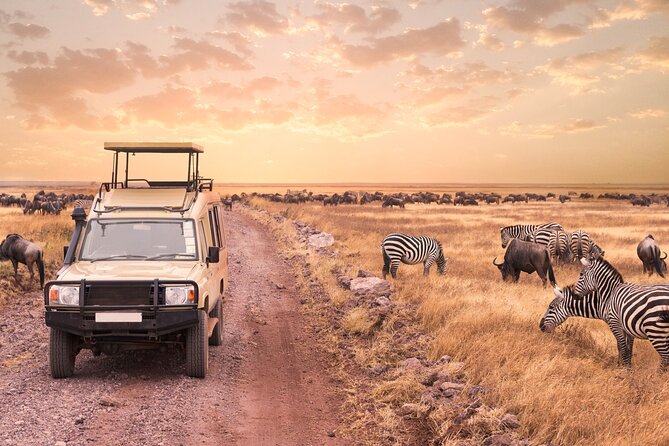 5 days safari, hiking & culture (Serengeti & kilimanjaro) - Day one: Tarangire’s elephants and open country
