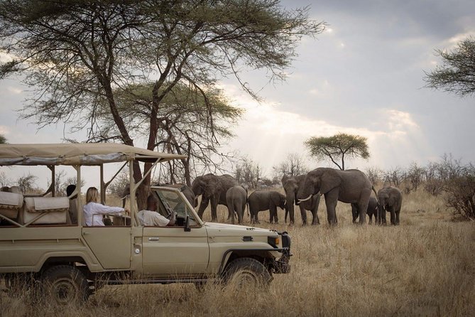 5 Days Safari In Serengeti And Ngorongoro - Day Two: Lake Manyara’s Birds and Rift Valley Views