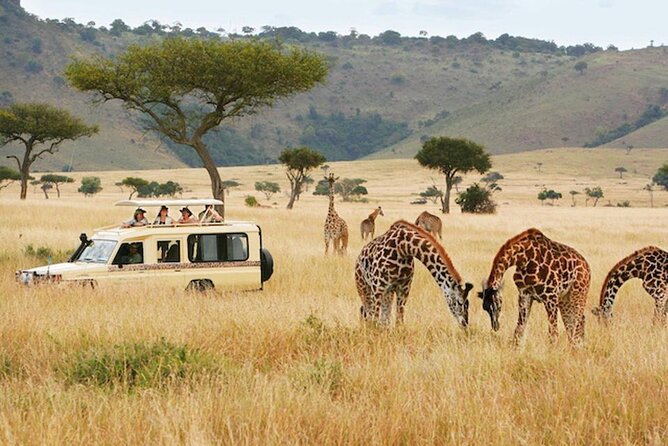 5 Days Safari in Tanzania | Camping and Lodge Safaris - What this five-day Tanzania safari really covers