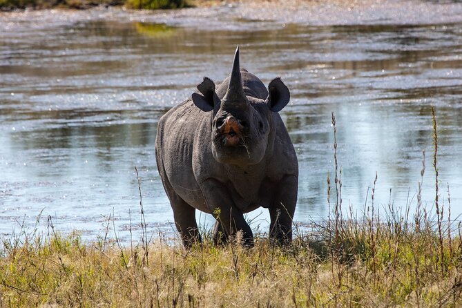 5 Days Safari Northern Circuit of Tanzania - Day 3 at Ngorongoro: a concentrated wildlife day