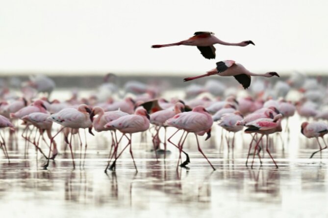 5 Days Safari Tarangire, Serengeti, and Ngorongoro Crater - The road from Serengeti to Ngorongoro