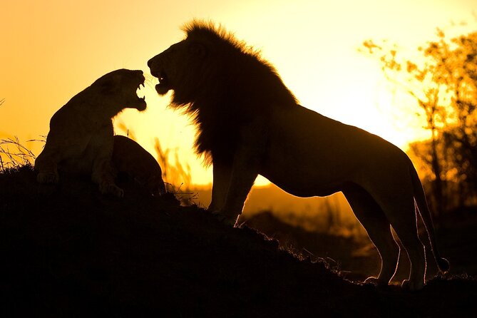 5 Days Safari Tarangire, Serengeti, and Ngorongoro Crater - Is $2,300 a fair price?