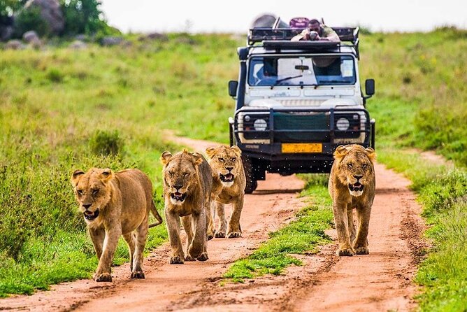 5 Days Safari Tarangire, Serengeti, and Ngorongoro Crater - Arusha arrival and the first night
