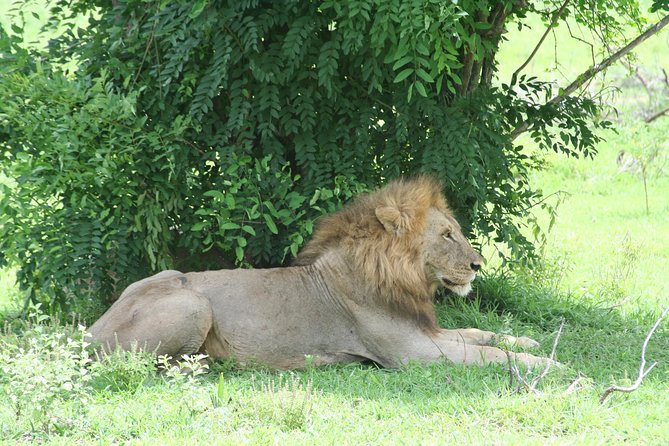 5 Days Safari to Selous & Mikumi - Day 3: leaving Selous through Morogoro and the Uluguru Mountains