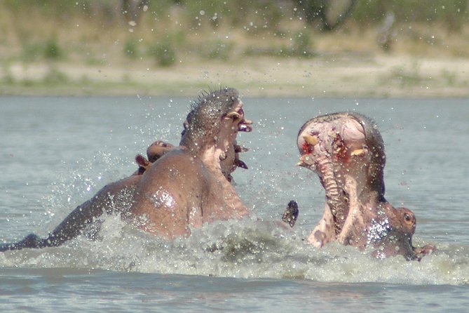 5 Days Safari to Selous & Mikumi - What $1,999 per person really covers