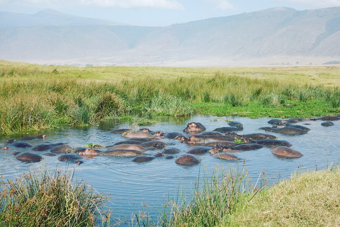 5 Days Safari to Serengeti, Ngorongoro, Tarangire from Arusha - Why this route works in five days