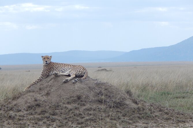 5 Days Safari to Serengeti, Ngorongoro, Tarangire from Arusha - The vehicle, meals, and what the price covers