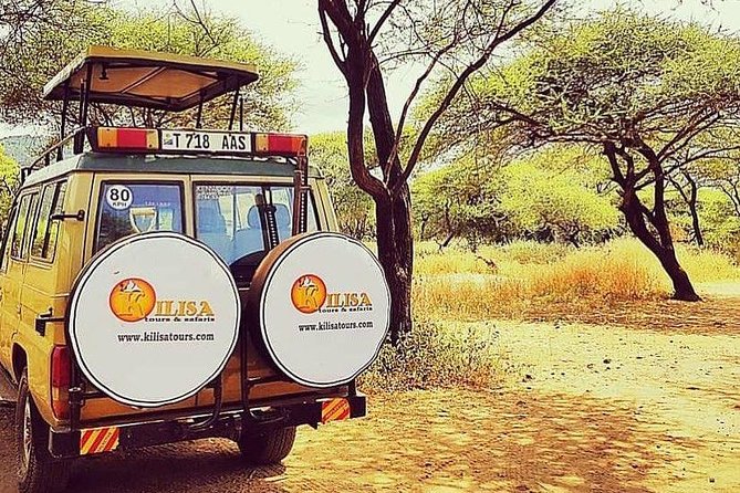 5 days Safari to Tarangire, Ngorongoro, Serengeti and Lake Manyara - Day 1: Tarangire and the elephant river