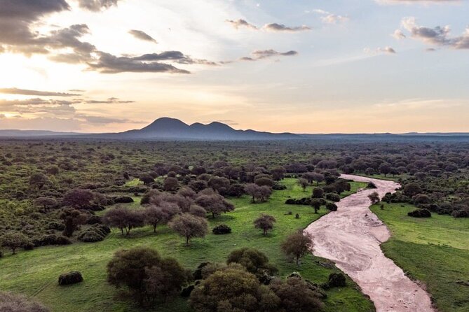 5-Days Selous Game Reserve and Mikumi National Park Tour - Day 2: Walking with an armed ranger, then searching for predators