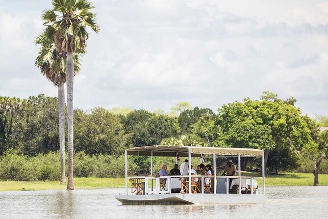 5-Days Selous Game Reserve and Mikumi National Park Tour - Day 5: The long road back to Dar es Salaam