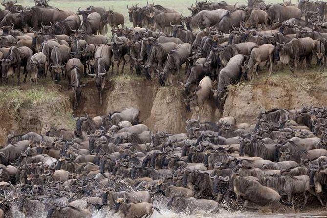 5 Days Serengeti Camping Safari - Food, camping, and the people who make it work