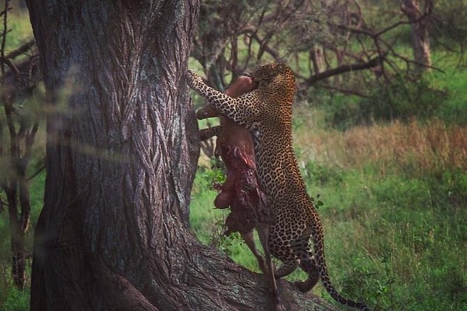 5 days serengeti, ngorongoro, tarangire & manyara lodge tour - Lake Manyara in a fast five-day schedule